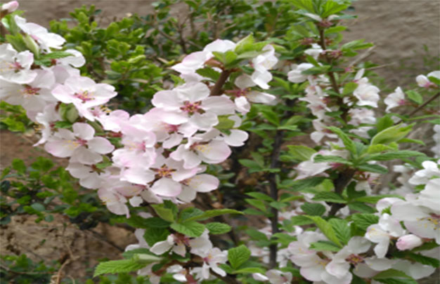 未标题-4.jpg