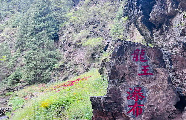 未标题-11.jpg