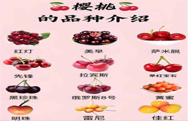 未标题-6.jpg