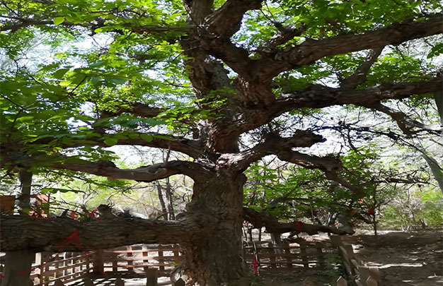 未标题-6.jpg