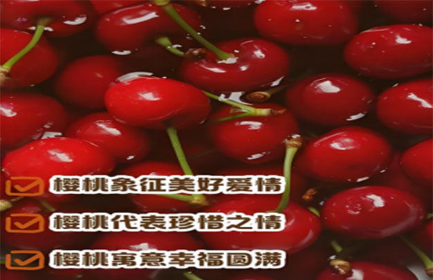 未标题-8.jpg