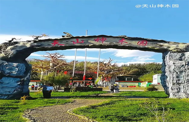 未标题-1.jpg