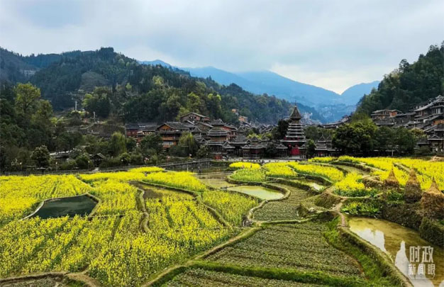 未标题-4.jpg