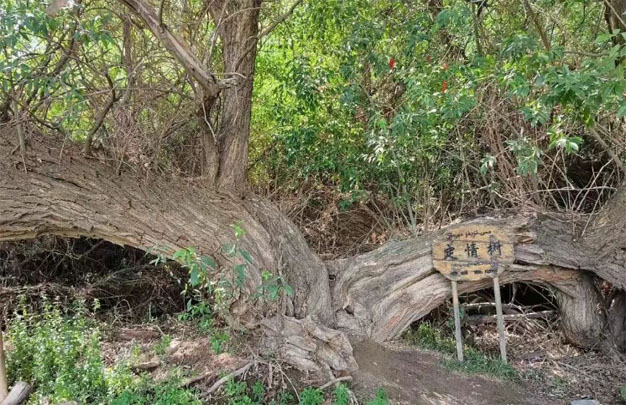 未标题-7.jpg