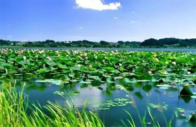 未标题-3.jpg