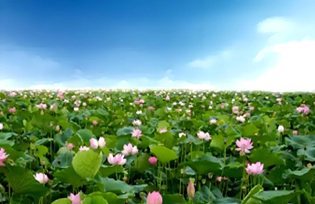 未标题-1.jpg