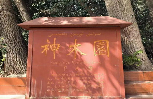 未标题-2.jpg