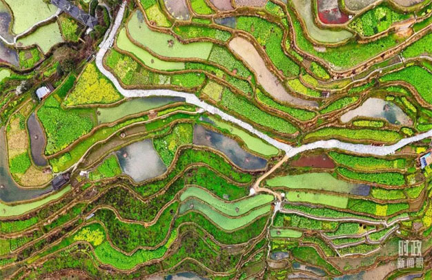 未标题-9.jpg
