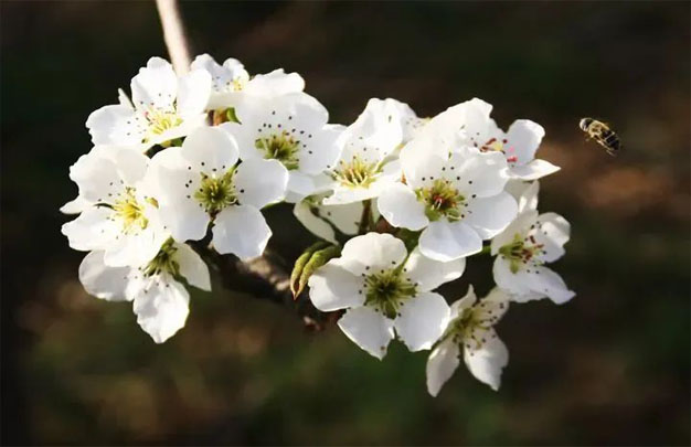 未标题-14.jpg