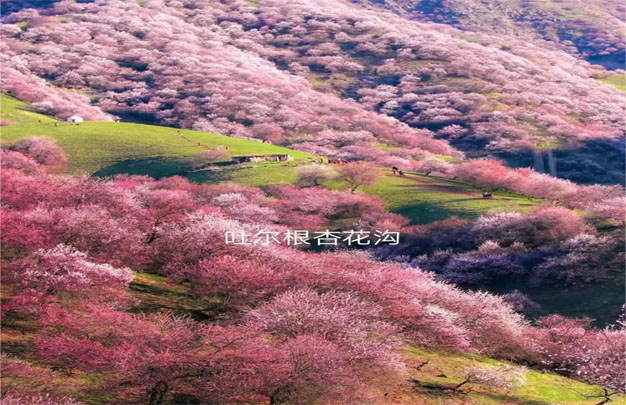 未标题-13.jpg
