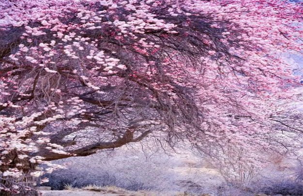 未标题-15.jpg