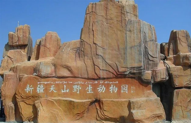 修图100.jpg