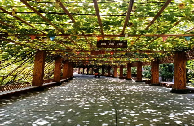 未标题-5.jpg