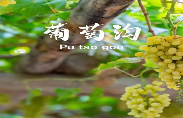 未标题-8.jpg