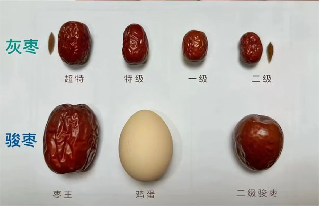 未标题-12.jpg