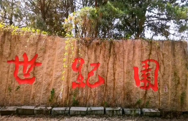 未标题-19.jpg