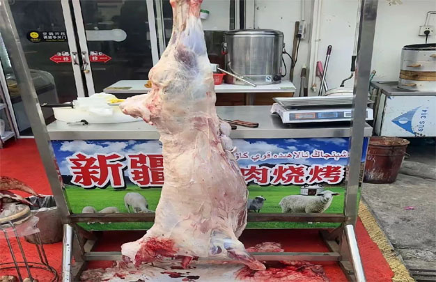 未标题-11.jpg