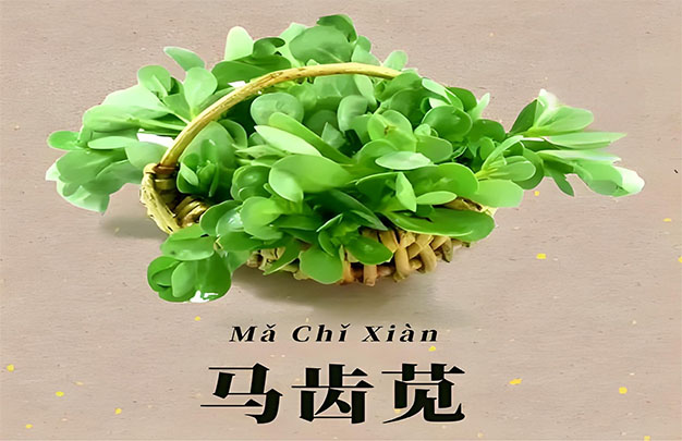 未标题-2.jpg
