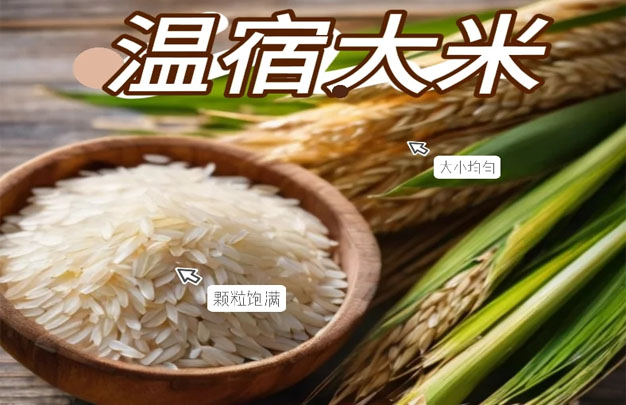 修图40.jpg