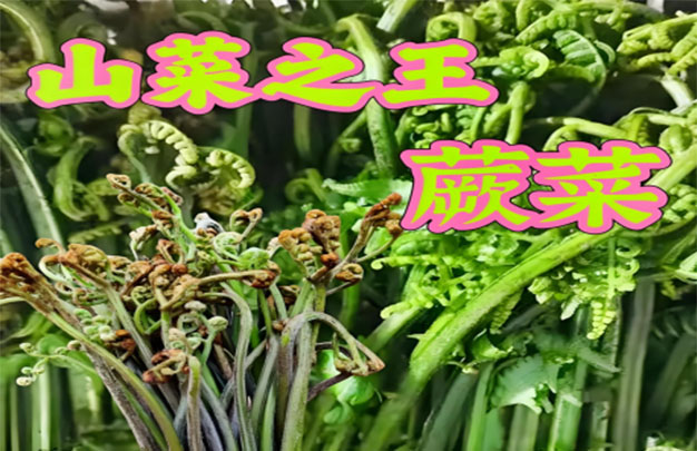 未标题-6.jpg