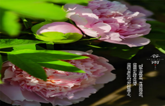 未标题-4.jpg
