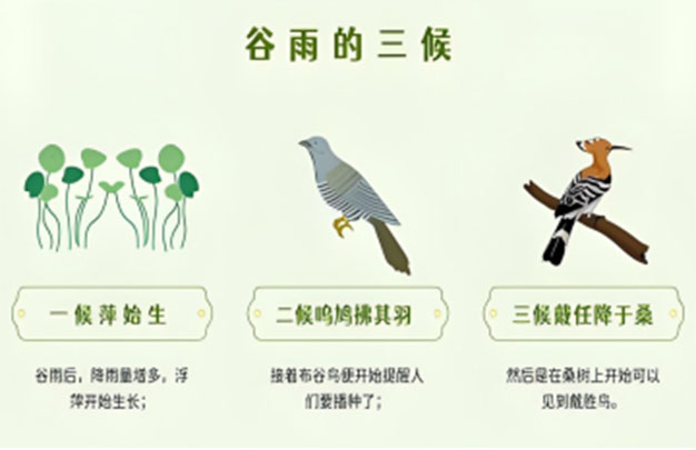 未标题-8.jpg