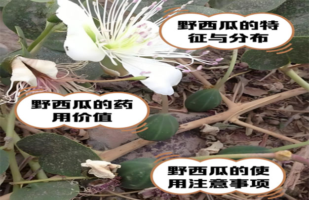 未标题-5.jpg
