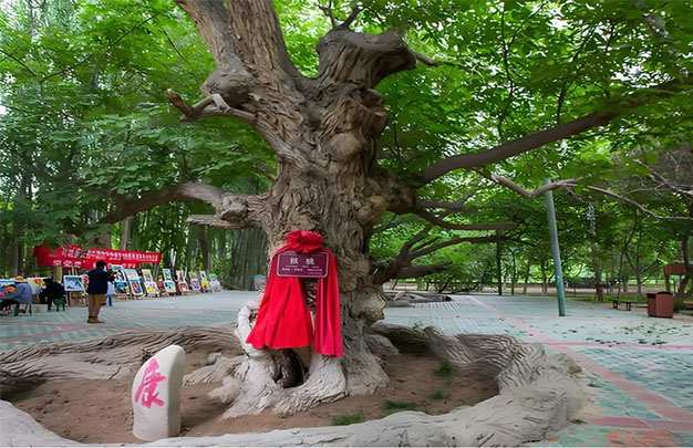 未标题-9.jpg