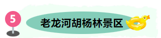 1749440138840.png