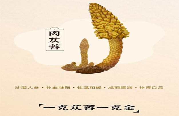 未标题-1.jpg