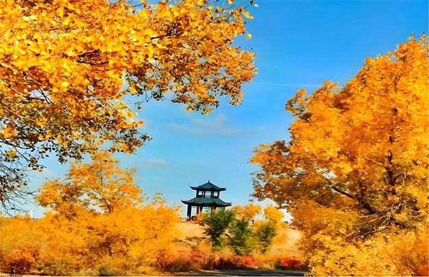 未标题-11.jpg