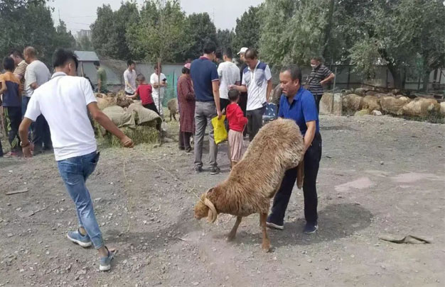 修图5.jpg