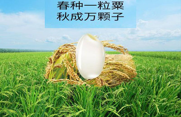 修图14.jpg