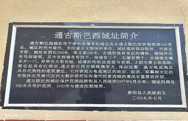 12.jpg