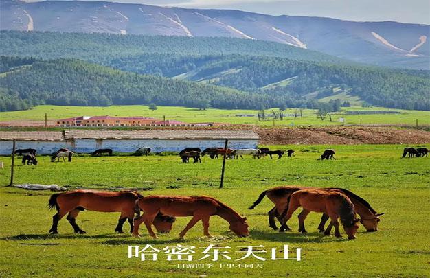 未标题-5.jpg