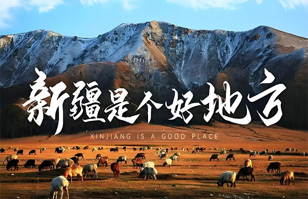 未标题-16.jpg