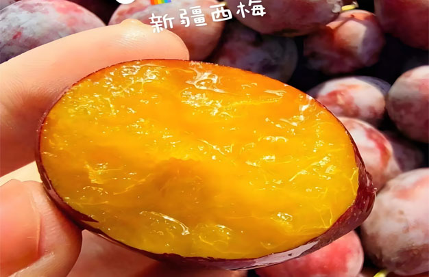 修图1.jpg