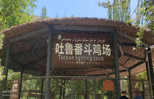 修图17.jpg