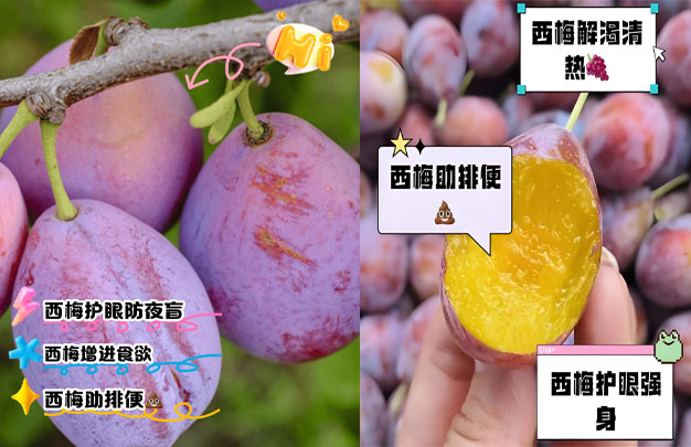 修图3.jpg