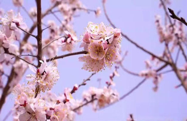 未标题-2.jpg