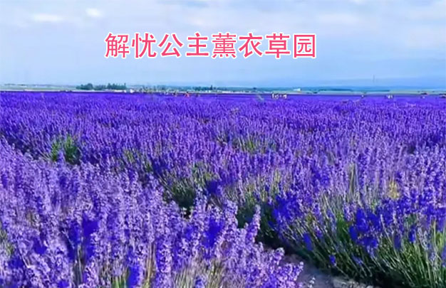 未标题-9.jpg