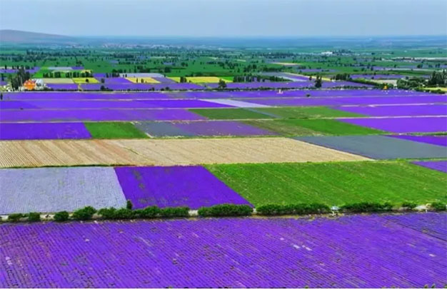 未标题-4.jpg