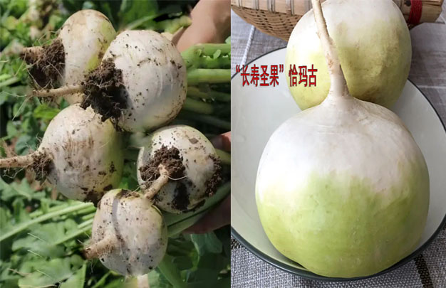 修图2.jpg