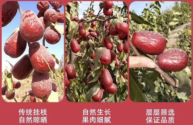 修图6.jpg