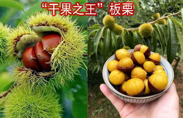 修图2.jpg