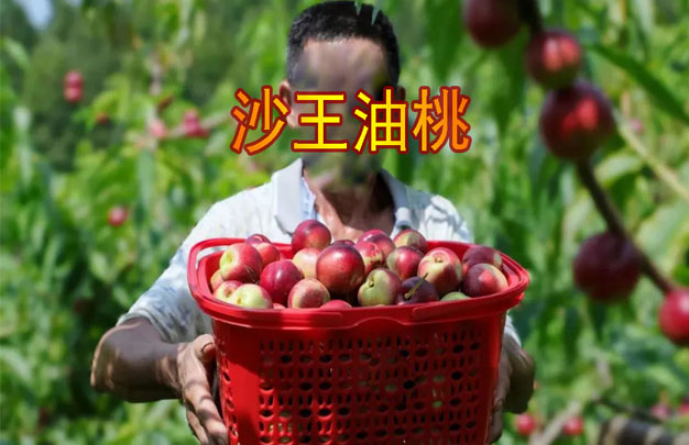 修图6.jpg