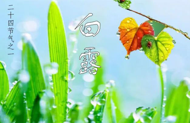 未标题-1.jpg