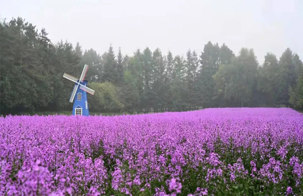 修3.jpg