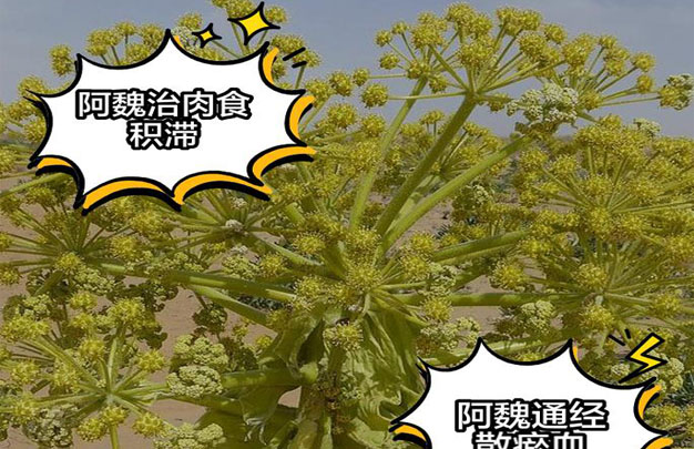 修图1.jpg