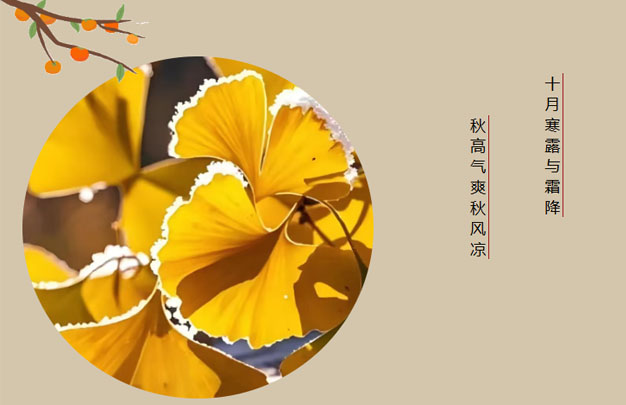 /uploads/image/2025/10/23/313fbfa6db4d391a8201d371fdff5bba.jpg 未标题-3.jpg
